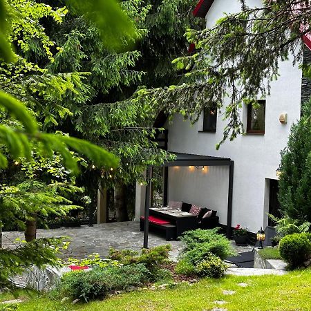Mountain Chalet - Cabana La Muntele Baisorii Muntele Cacovei  Екстер'єр фото