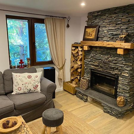 Mountain Chalet - Cabana La Muntele Baisorii Muntele Cacovei  Екстер'єр фото