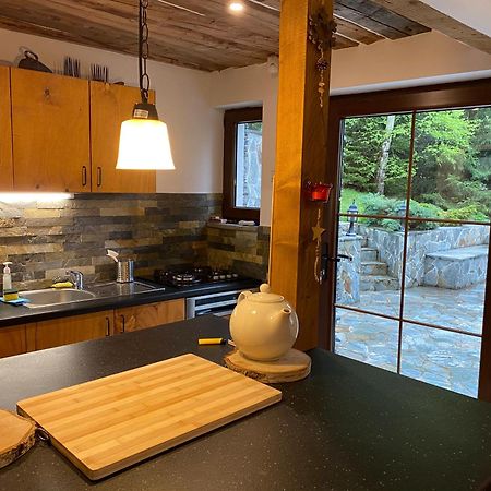 Mountain Chalet - Cabana La Muntele Baisorii Muntele Cacovei  Екстер'єр фото