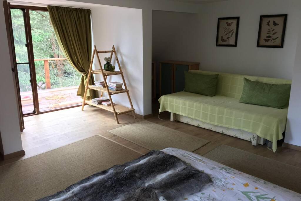 Mountain Chalet - Cabana La Muntele Baisorii Muntele Cacovei  Екстер'єр фото