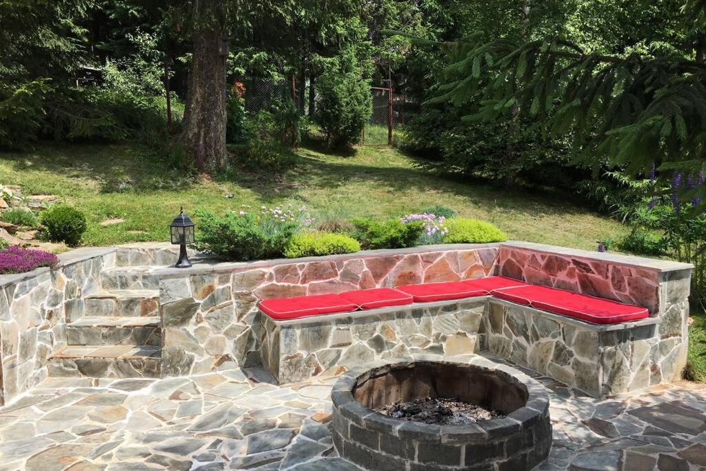 Mountain Chalet - Cabana La Muntele Baisorii Muntele Cacovei  Екстер'єр фото