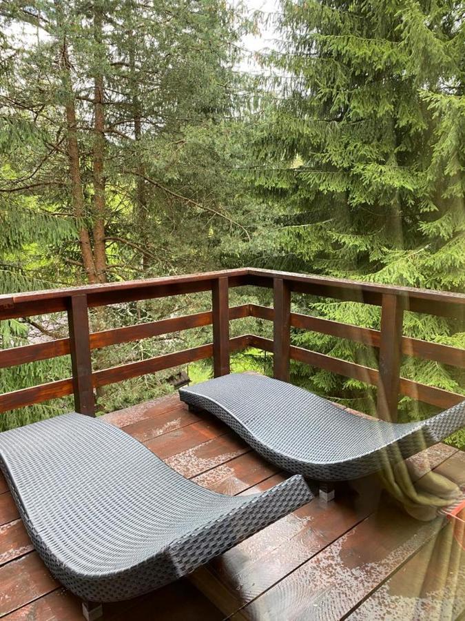 Mountain Chalet - Cabana La Muntele Baisorii Muntele Cacovei  Екстер'єр фото