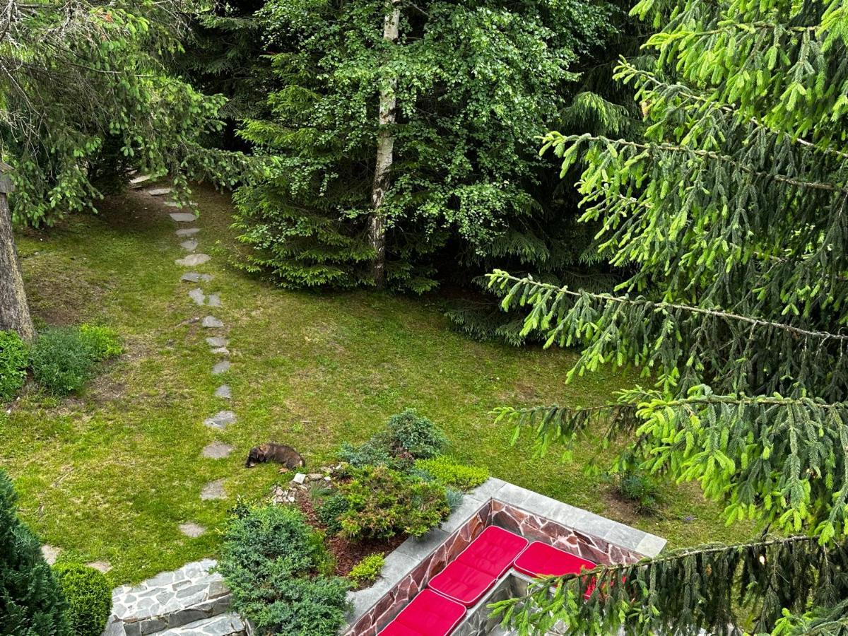 Mountain Chalet - Cabana La Muntele Baisorii Muntele Cacovei  Екстер'єр фото