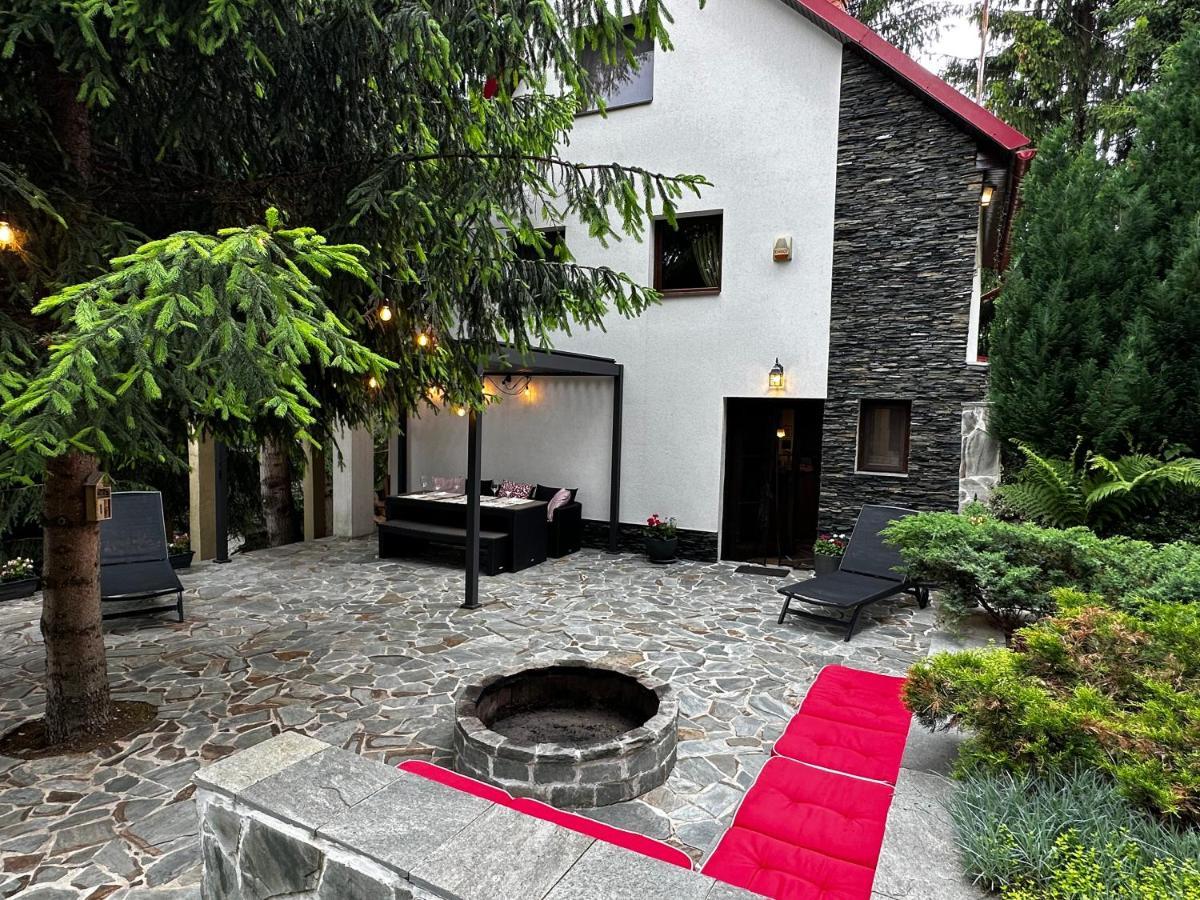 Mountain Chalet - Cabana La Muntele Baisorii Muntele Cacovei  Екстер'єр фото