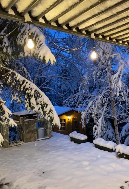 Mountain Chalet - Cabana La Muntele Baisorii Muntele Cacovei  Екстер'єр фото