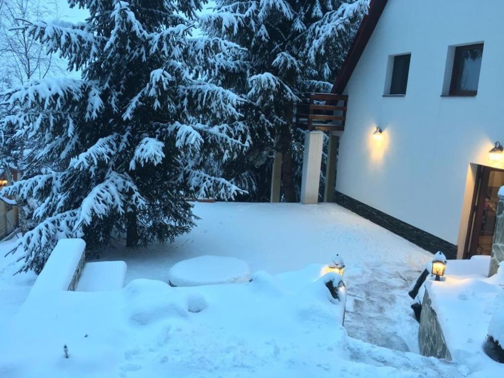 Mountain Chalet - Cabana La Muntele Baisorii Muntele Cacovei  Екстер'єр фото