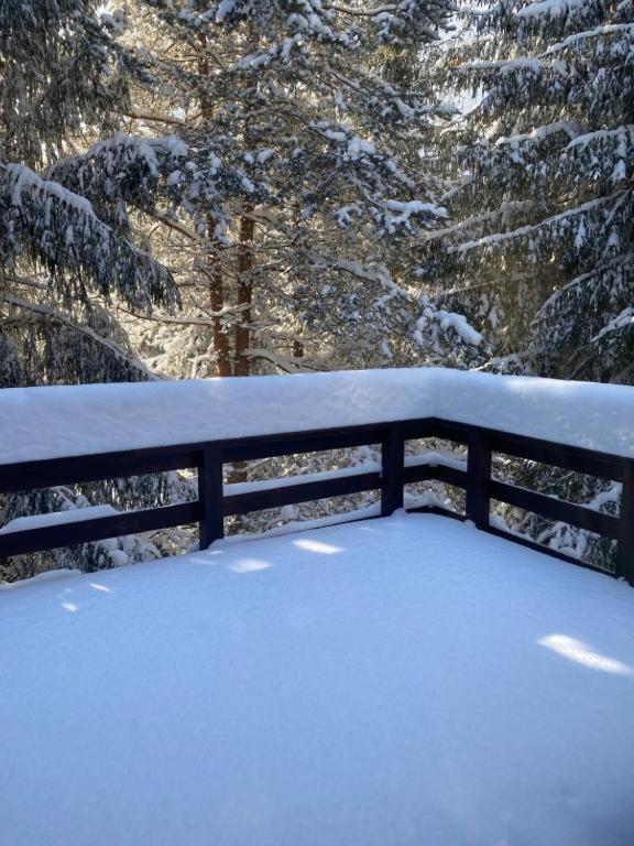 Mountain Chalet - Cabana La Muntele Baisorii Muntele Cacovei  Екстер'єр фото