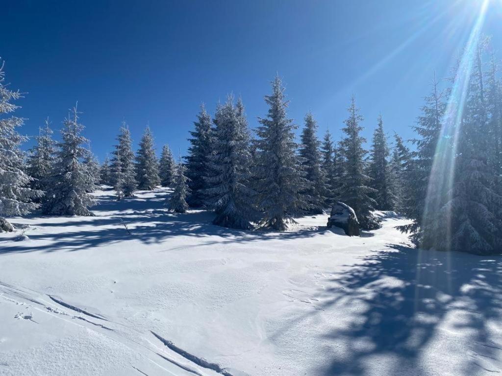 Mountain Chalet - Cabana La Muntele Baisorii Muntele Cacovei  Екстер'єр фото