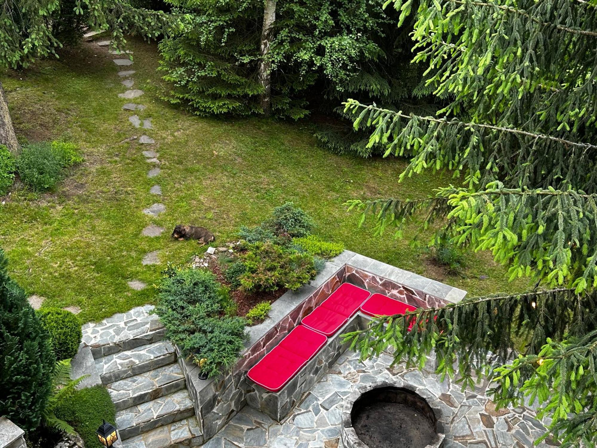 Mountain Chalet - Cabana La Muntele Baisorii Muntele Cacovei  Екстер'єр фото